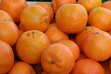 Mandarinas / Clementinas